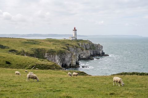 Audinghen : falaises du cap Gris-Nez et phare (image générée par IA)