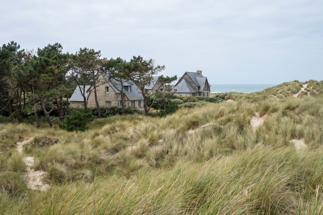 Dannes : hautes dunes couvertes d’oyats et villas dans les pins (image générée par IA)