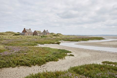 Groffliers : estuaire de la baie d’Authie avec prés salés (image générée par IA)