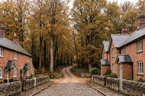 Phalempin : village en lisière d’une grande forêt (image générée par IA)
